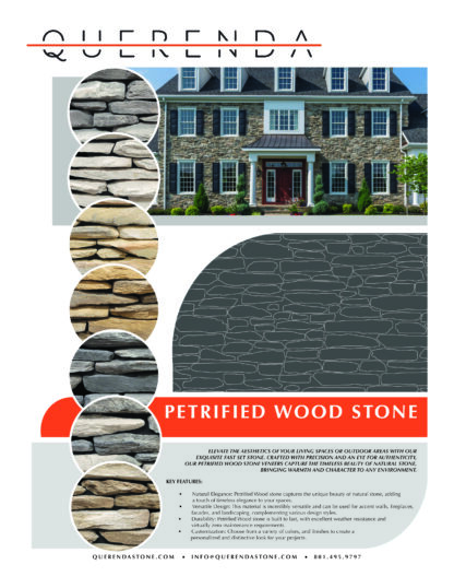Petrified Wood - Image 9