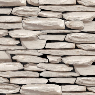 Petrified Wood