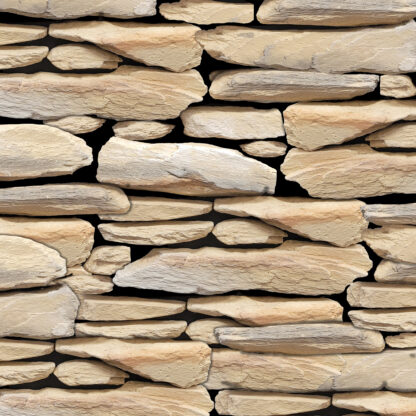 Petrified Wood - Image 7