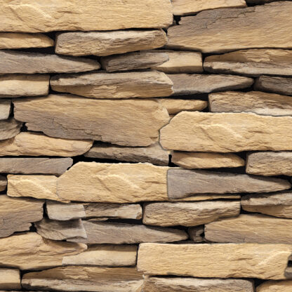 Petrified Wood - Image 6