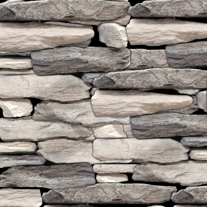 Petrified Wood - Image 4