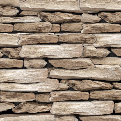 Petrified Wood - Image 3